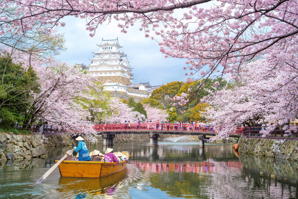 The Best Time to Visit Popular Destinations in 2025